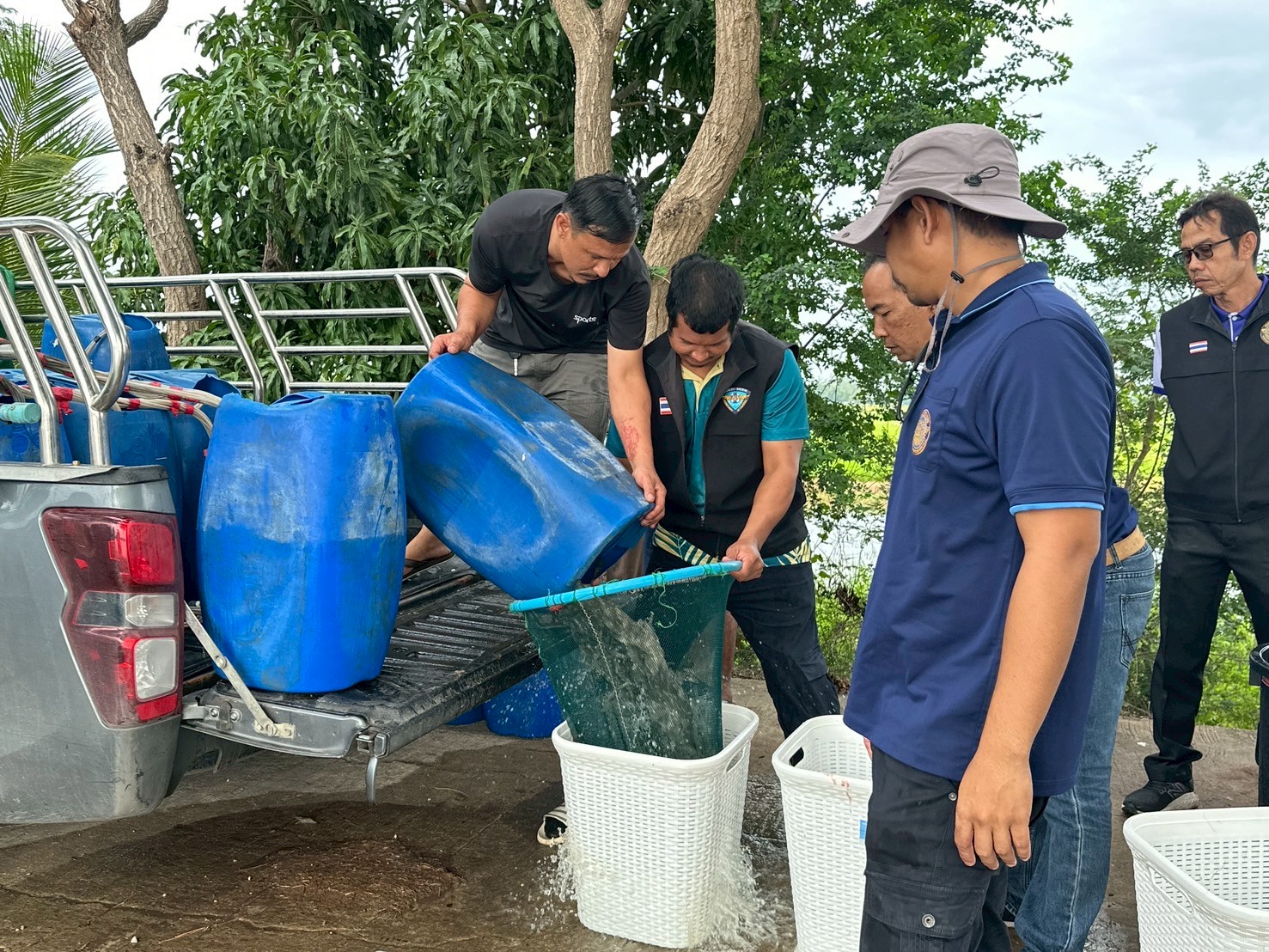 ร่วมปล่อยพันธุ์สัตว์น้ำเศรษฐกิจ พันธุ์กุ้งก้ามกราม ณ บึงห้วยคล้า ในพื้นที่อำเภอวิเศษชาญ หนองลาดใหญ่และหนองคชบาล ในพื้นที่อำเภอไชโย จังหวัดอ่างทอง