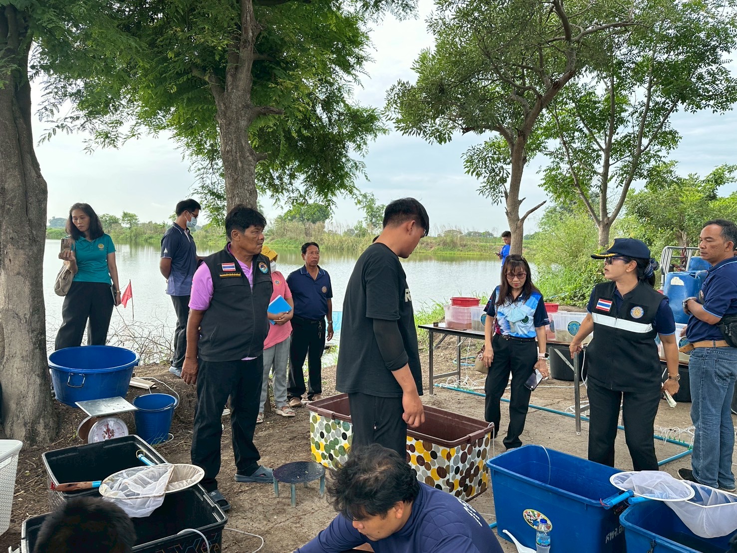 ร่วมปล่อยพันธุ์สัตว์น้ำเศรษฐกิจ พันธุ์กุ้งก้ามกราม ณ บึงห้วยคล้า ในพื้นที่อำเภอวิเศษชาญ หนองลาดใหญ่และหนองคชบาล ในพื้นที่อำเภอไชโย จังหวัดอ่างทอง