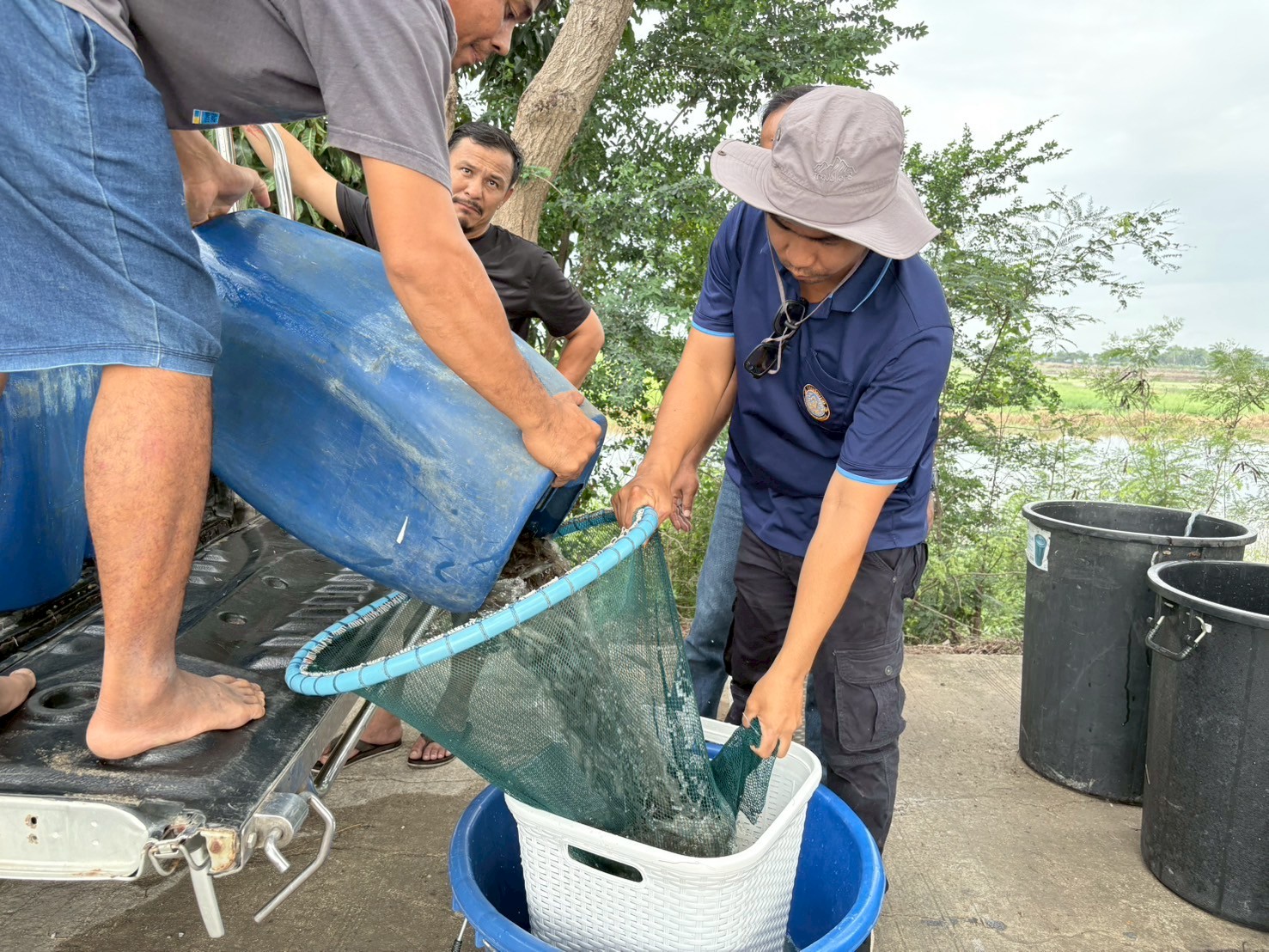 ร่วมปล่อยพันธุ์สัตว์น้ำเศรษฐกิจ พันธุ์กุ้งก้ามกราม ณ บึงห้วยคล้า ในพื้นที่อำเภอวิเศษชาญ หนองลาดใหญ่และหนองคชบาล ในพื้นที่อำเภอไชโย จังหวัดอ่างทอง