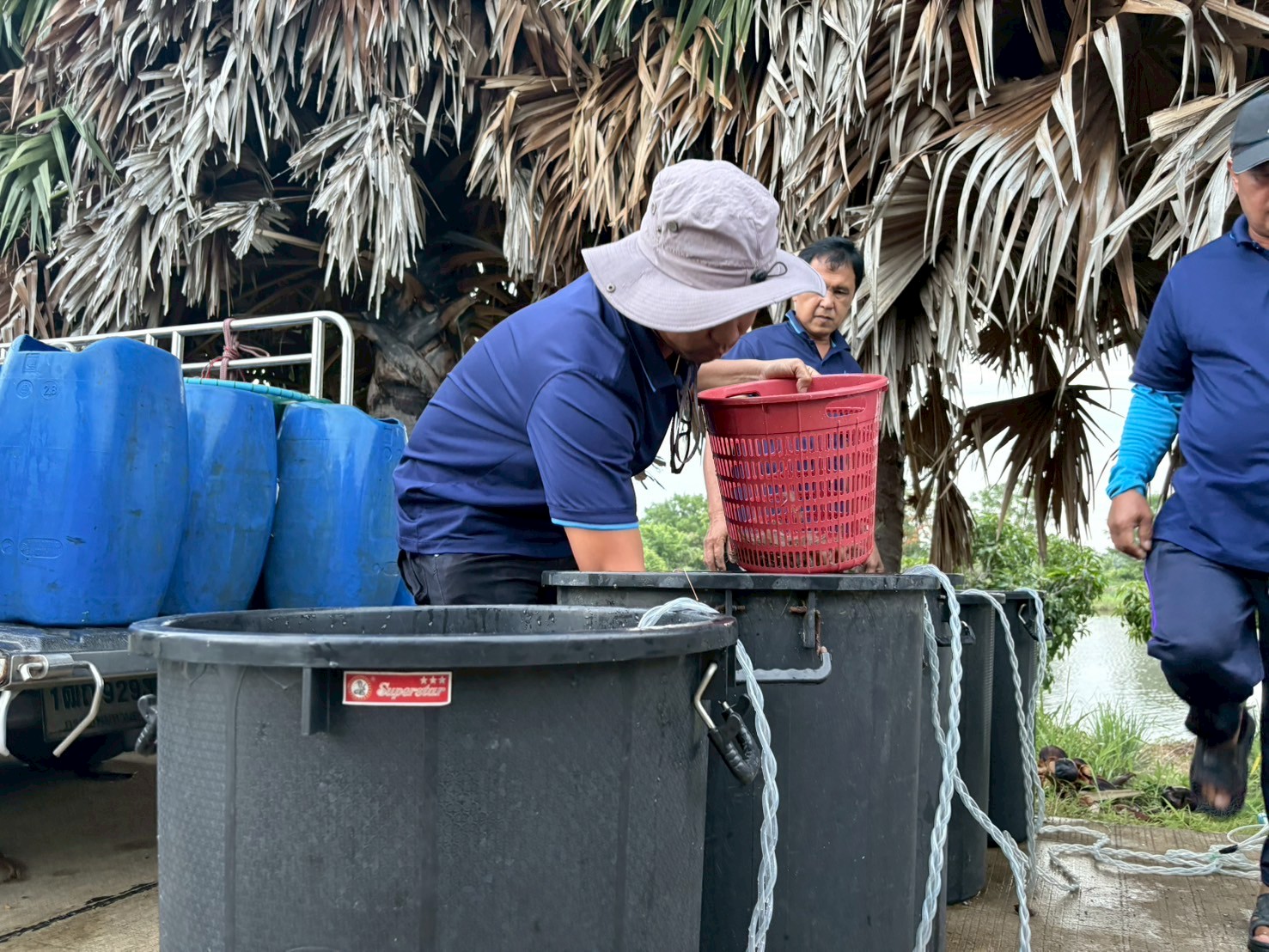 ร่วมปล่อยพันธุ์สัตว์น้ำเศรษฐกิจ พันธุ์กุ้งก้ามกราม ณ บึงห้วยคล้า ในพื้นที่อำเภอวิเศษชาญ หนองลาดใหญ่และหนองคชบาล ในพื้นที่อำเภอไชโย จังหวัดอ่างทอง