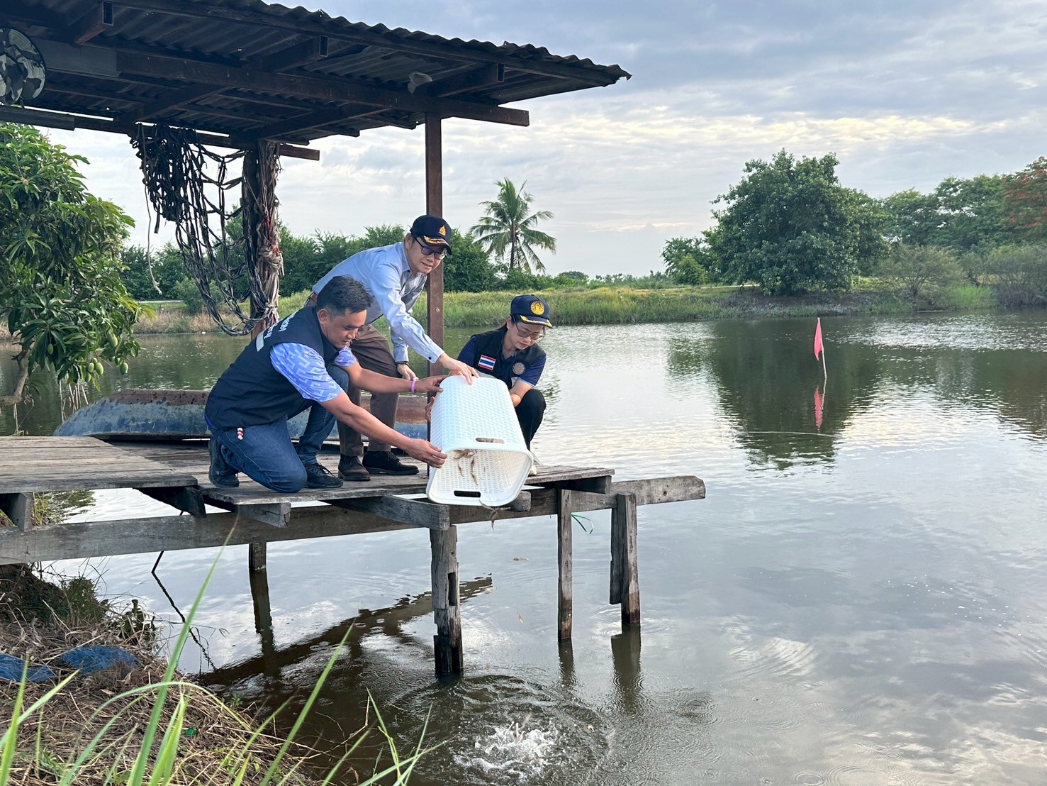 ร่วมปล่อยพันธุ์สัตว์น้ำเศรษฐกิจ พันธุ์กุ้งก้ามกราม ณ บึงห้วยคล้า ในพื้นที่อำเภอวิเศษชาญ หนองลาดใหญ่และหนองคชบาล ในพื้นที่อำเภอไชโย จังหวัดอ่างทอง