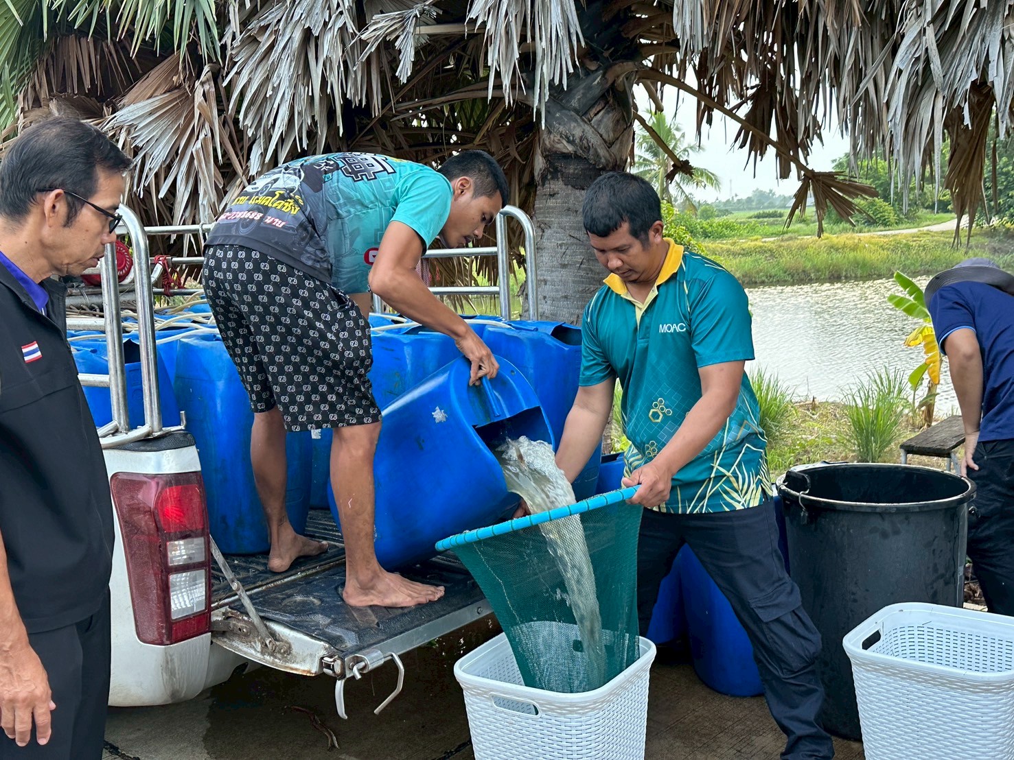 ร่วมปล่อยพันธุ์สัตว์น้ำเศรษฐกิจ พันธุ์กุ้งก้ามกราม ณ บึงห้วยคล้า ในพื้นที่อำเภอวิเศษชาญ หนองลาดใหญ่และหนองคชบาล ในพื้นที่อำเภอไชโย จังหวัดอ่างทอง
