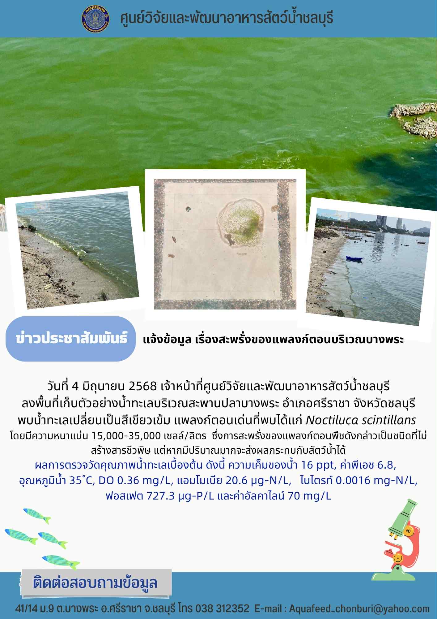 ข่าวประชาสัมพันธ์ : แจ้งข้อมูล เรื่องสะพรั่งของแพลงก์ตอนบริเวณบางพระ