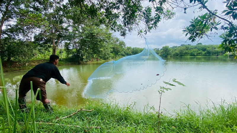 สำรวจการระบาดของปลาหมอคางดำ ในพื้นที่จังหวัดพัทลุง และจังหวัดสงขลา..คลิก