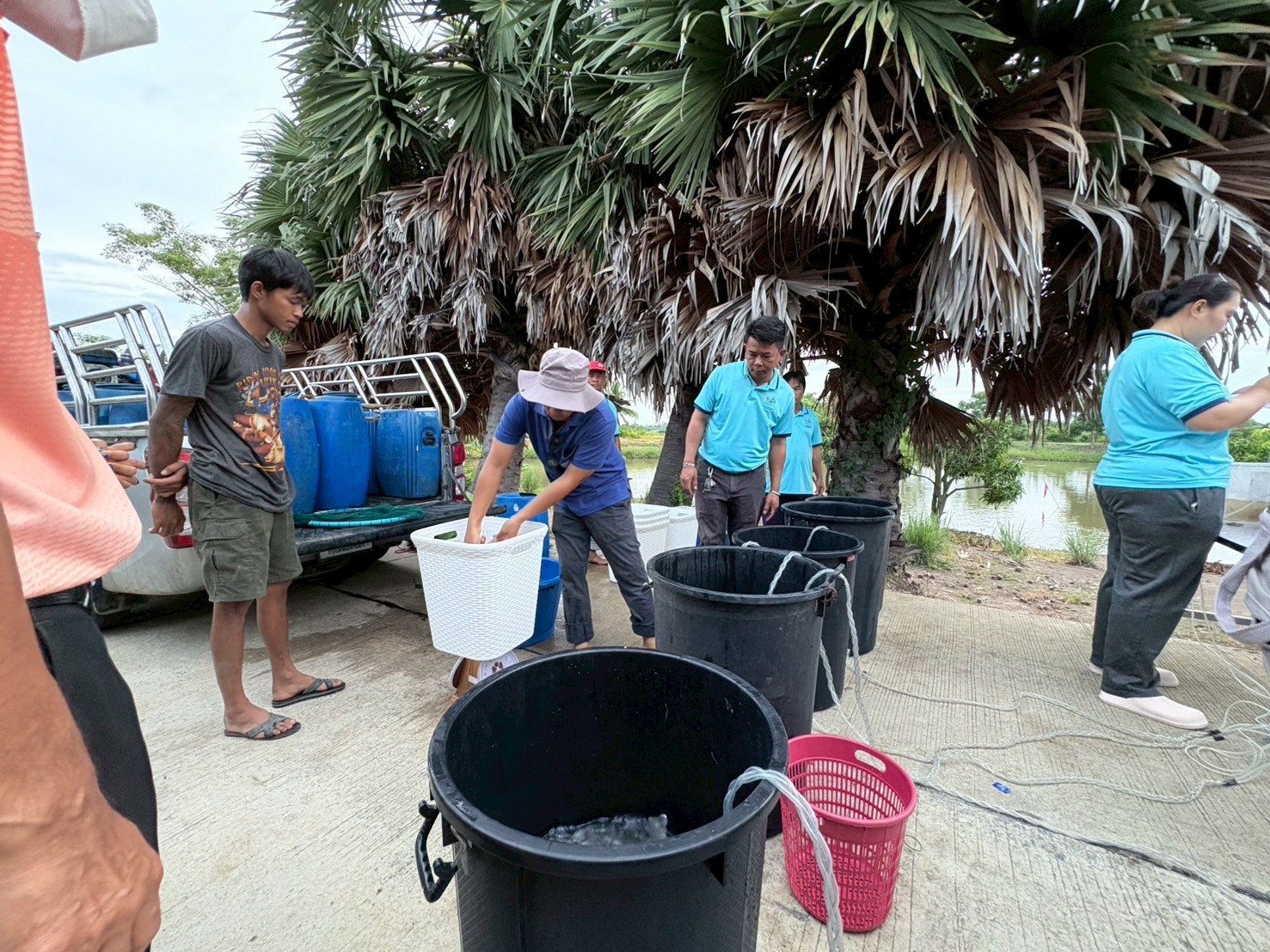 ร่วมปล่อยพันธุ์สัตว์น้ำเศรษฐกิจ พันธุ์กุ้งก้ามกรามชดเชย ณ บึงห้วยคล้า ในพื้นที่อำเภอวิเศษชาญ หนองลาดใหญ่และหนองคชบาล ในพื้นที่อำเภอไชโย จังหวัดอ่างทอง