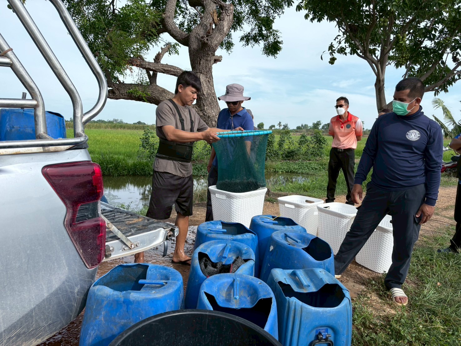 ร่วมปล่อยพันธุ์สัตว์น้ำเศรษฐกิจ พันธุ์กุ้งก้ามกรามชดเชย ณ บึงห้วยคล้า ในพื้นที่อำเภอวิเศษชาญ หนองลาดใหญ่และหนองคชบาล ในพื้นที่อำเภอไชโย จังหวัดอ่างทอง