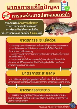 วิธีการป้องกันการระบาดของปลาหมอคางดำ
