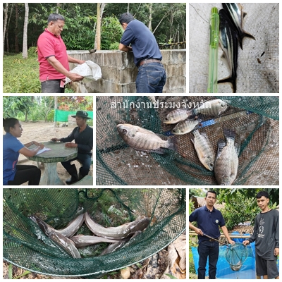 ผลการปฏิบัติงานประจำวันศุกร์ที่ 20 มิถุนายน 2568