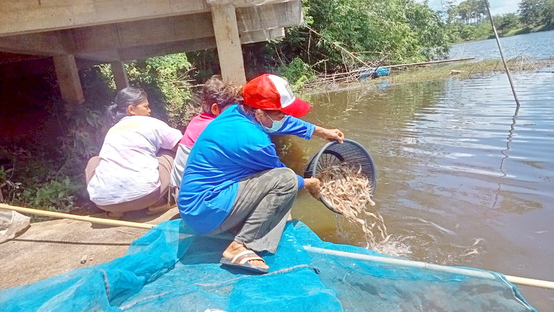 ร่วมตรวจรับและปล่อยพันธุ์กุ้งก้ามกราม ลงแหล่งน้ำในพื้นที่จังหวัดพัทลุง