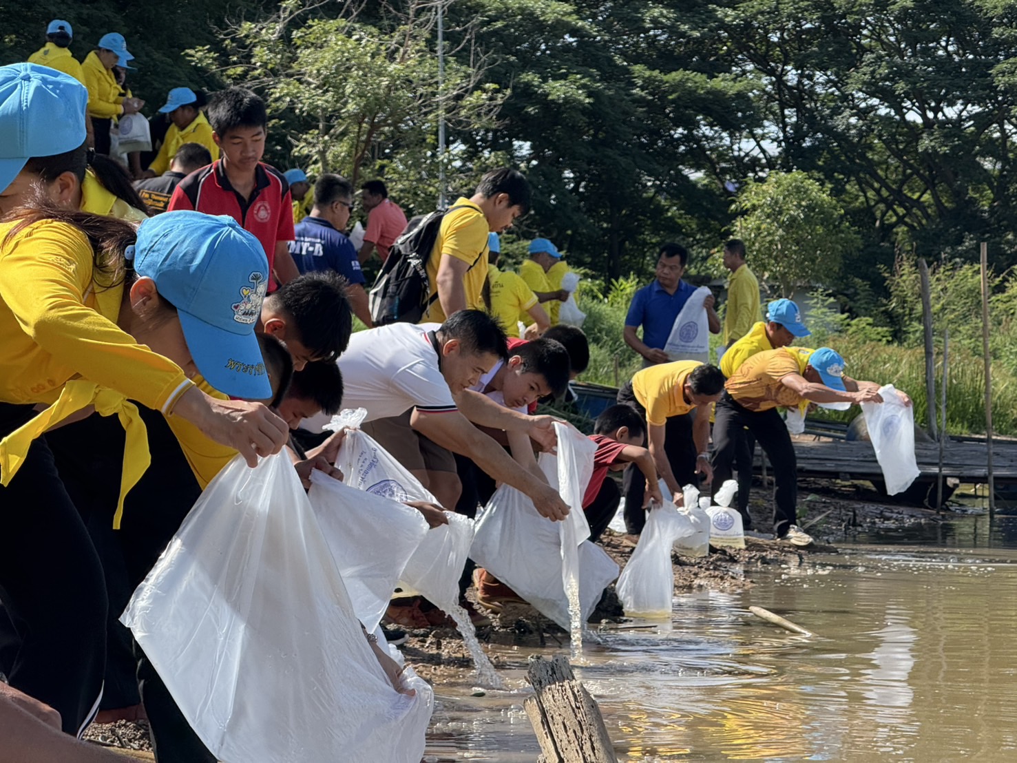 โครงการฟื้นฟูกุ้งก้ามกรามในจังหวัดพะเยา