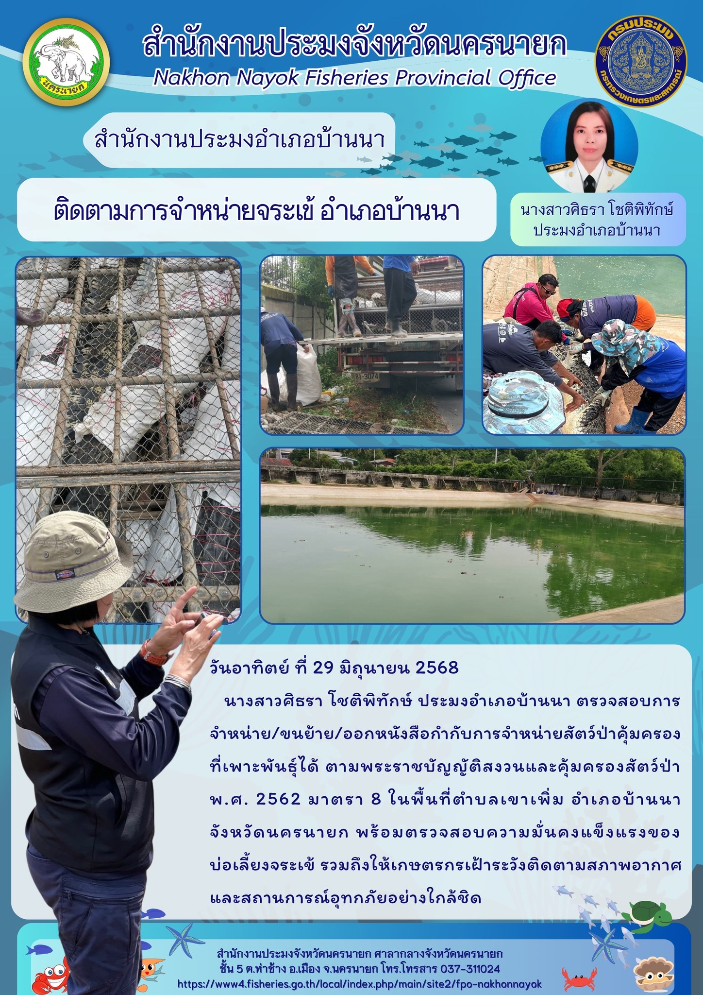 ติดตามการจำหน่ายจระเข้ในพื้นที่อำเภอบ้านนา