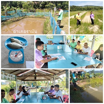 ผลการปฏิบัติงานประจำวันอังคารที่ 1 กรกฎาคม 2568