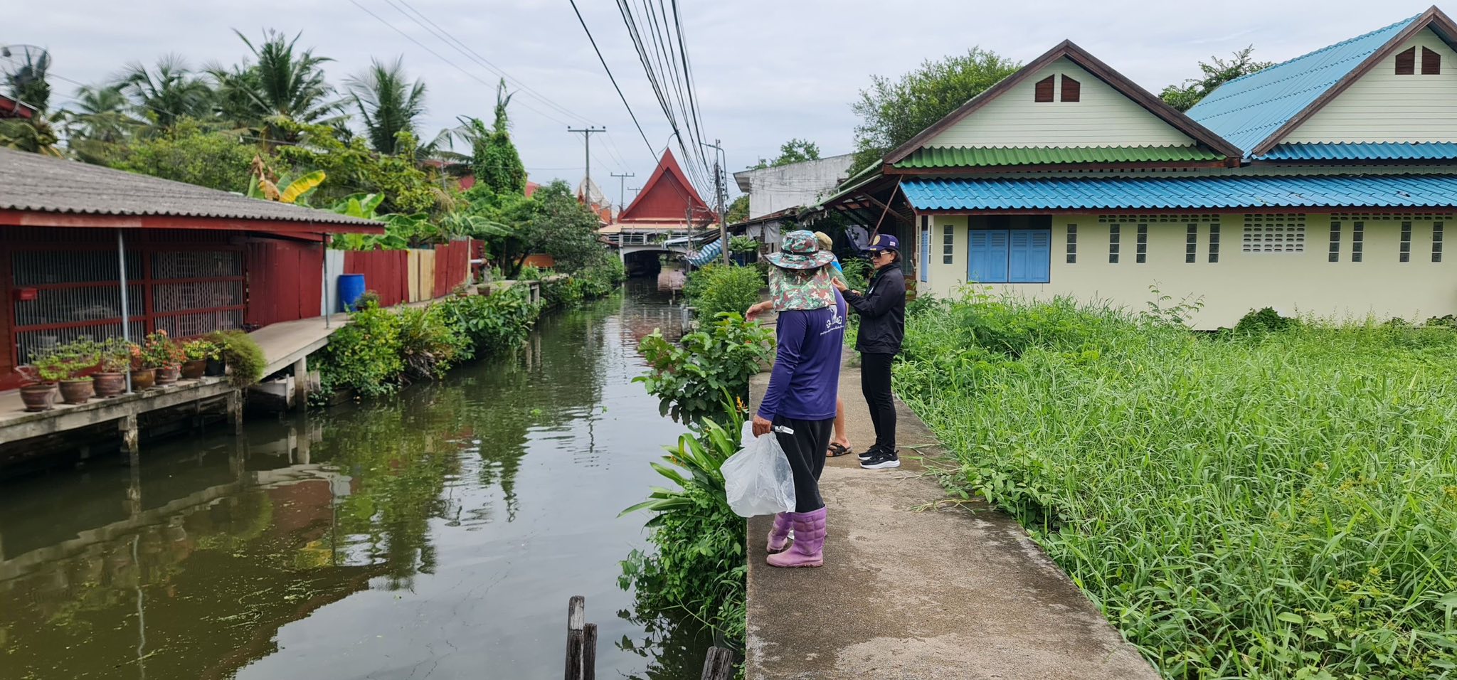 ลงพื้นที่สำรวจและเฝ้าระวังการแพร่กระจายประชากรปลาหมอคางดำในแหล่งน้ำธรรมชาติ..คลิก