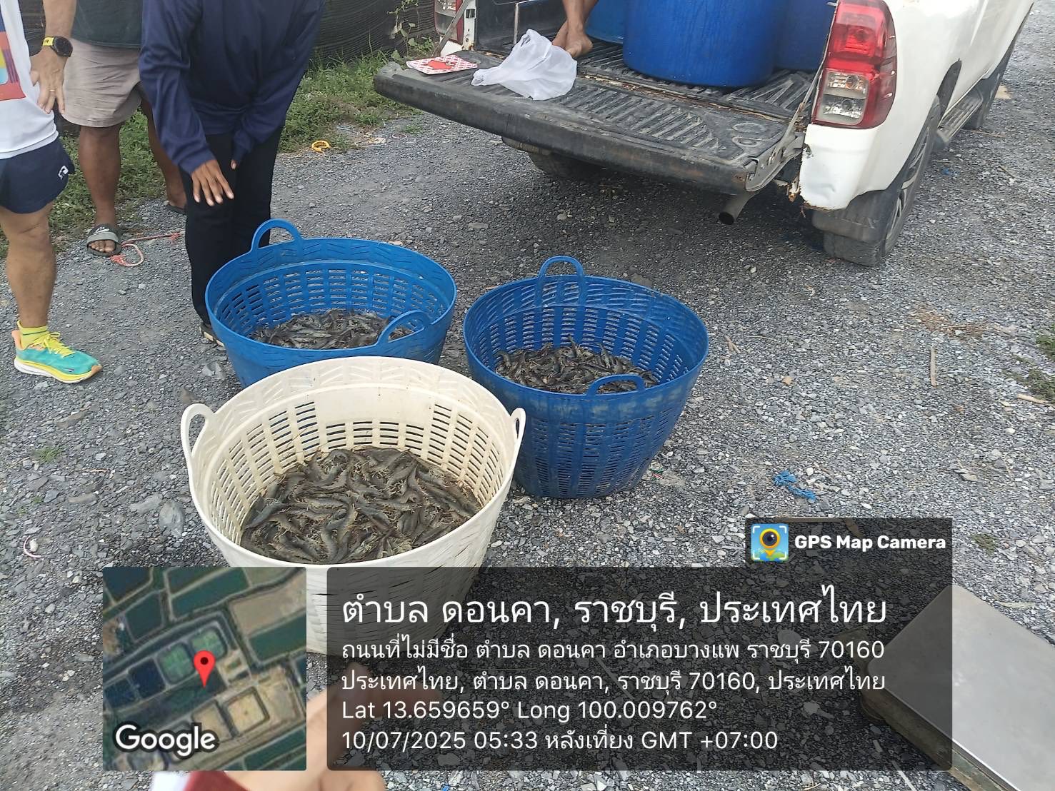 ลงพื้นที่ติดตามตรวจสอบการซื้อขายกุ้งขาวแวนนาไม..คลิก