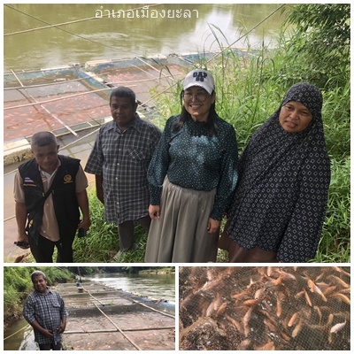 ผลการปฏิบัติงานประจำวันพุธที่ 9 กรกฎาคม 2568..คลิก