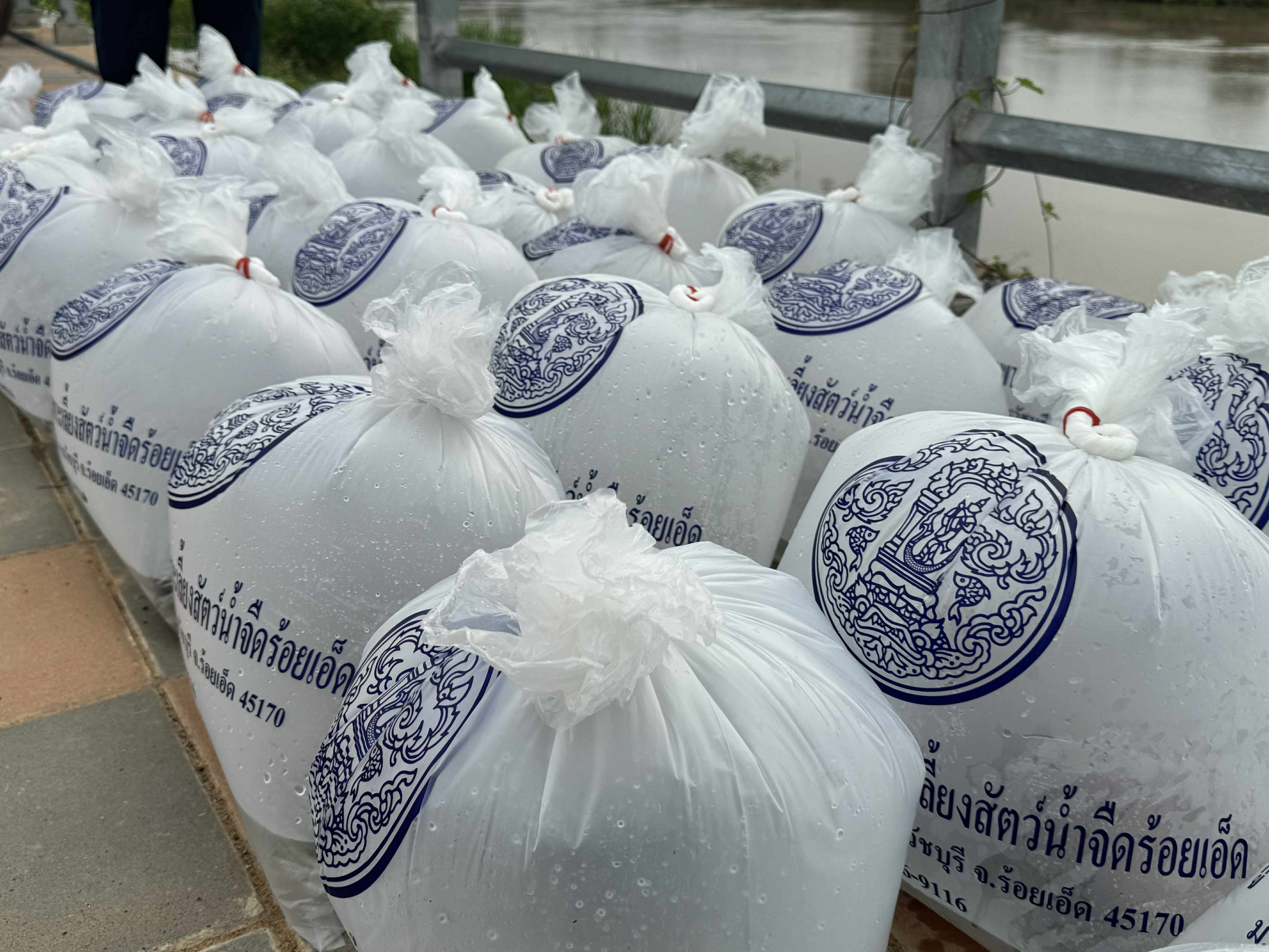 ร่วมพิธีกิจกรรมจิตอาสาพัฒนา เนื่องในวันสมเด็จพระนารายณ์มหาราช ประจำปี 2568 และร่วมกิจกรรมทำความสะอาดและปรับปรุงภูมิทัศน์ ปล่อยพันธุ์ปลา และปลูกต้นไม้..คลิก