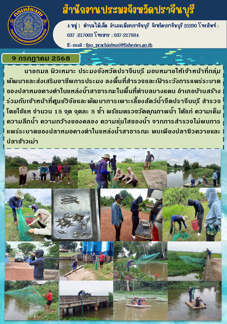 ข่าวประชาสัมพันธุ์ ลงพื้นที่สำรวจและเฝ้าระวังการแพร่ระบาด ของปลาหมอดางดำในแหล่งน้ำสาธารณะในพื้นที่ตำบลบางแตน..คลิก