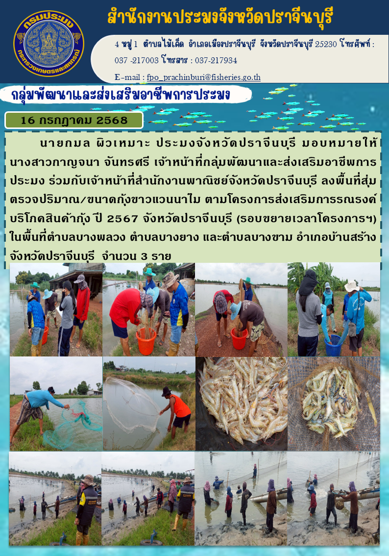 ข่าวประชาสัมพันธ์ กลุ่มพัฒนาและส่งเสริมอาชีพการประมง ลงพื้นที่สุ่ม ตรวจปริมาณ/ขนาดกุ้งขาวแวนนาไม ตามโครงการส่งเสริมการรณรงค์ บริโภคสินค้ากุ้ง ปี 2567 จังหวัดปราจีนบุรี (รอบขยายเวลาโครงการฯ) ในพื้นที่ตำบลบางพลวง ตำบลบางยาง และตำบลบางขาม อำเภอบ้านสร้าง จังหวัดปราจีนบุรี..คลิก