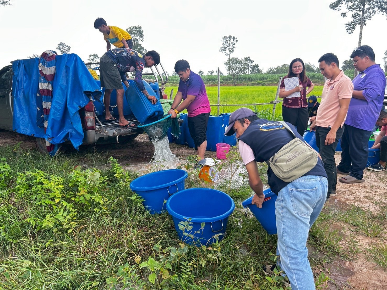 ปล่อยพันธุ์สัตว์น้ำ(กุ้งก้ามกราม) ในโครงการบริหารจัดการทรัพยากรประมงกิจกรรมบริหารจัดการทรัพยากรประมงน้ำจืดการเพิ่มผลผลิตสัตว์น้ำในแหล่งน้ำชุมชน เพื่อเพิ่มรายได้และลดค่าครองชีพของประชาชนประจำปีงบประมาณ 2568 รวมทั้งสิ้น 15 แหล่งน้ำ