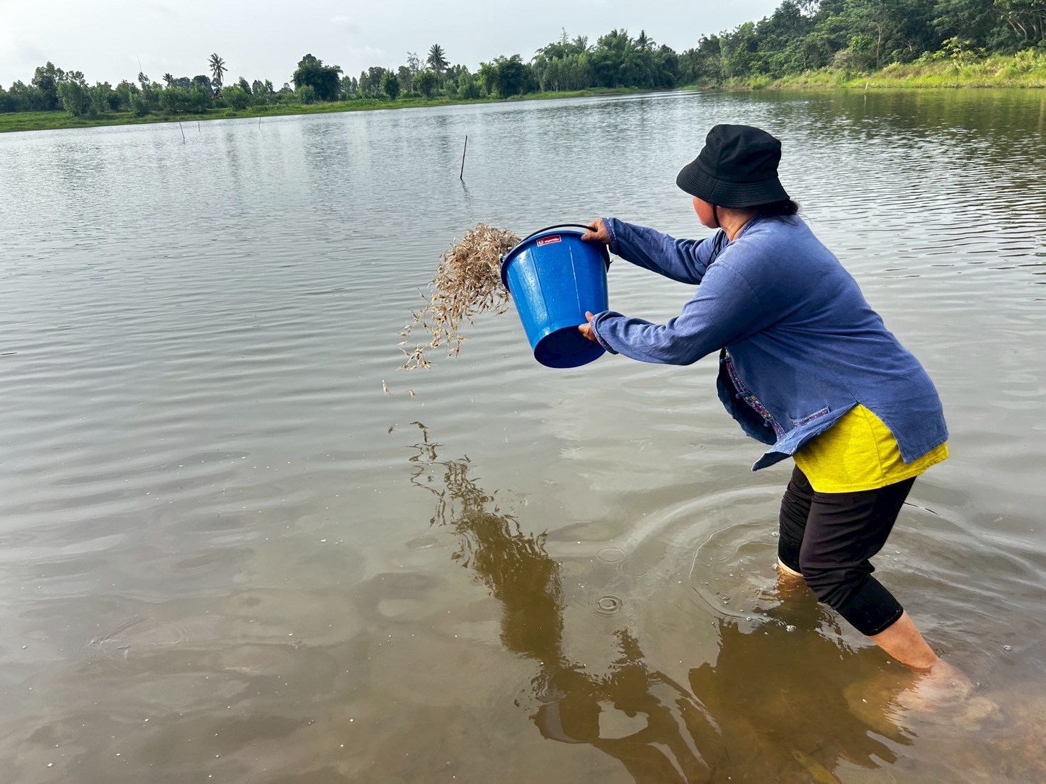 ปล่อยพันธุ์สัตว์น้ำ(กุ้งก้ามกราม) ในโครงการบริหารจัดการทรัพยากรประมงกิจกรรมบริหารจัดการทรัพยากรประมงน้ำจืดการเพิ่มผลผลิตสัตว์น้ำในแหล่งน้ำชุมชน เพื่อเพิ่มรายได้และลดค่าครองชีพของประชาชนประจำปีงบประมาณ 2568 รวมทั้งสิ้น 15 แหล่งน้ำ