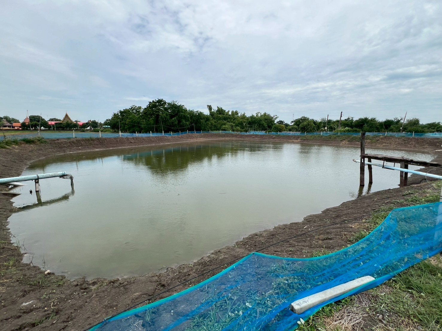 ศูนย์ฯ อ่างทอง ลงพื้นที่ติดตามเกษตรกรหลังเข้าร่วมโครงการพัฒนาสินค้าเกษตรมูลค่าสูงด้านการประมง กิจกรรมหลักส่งเสริมการเพาะเลี้ยงและพัฒนาธุรกิจสัตว์น้ำเศรษฐกิจ กิจกรรมย่อยส่งเสริมการเพาะเลี้ยงและพัฒนาธุรกิจสัตว์น้ำจืดที่มีความสำคัญทางเศรษฐกิจ (ปลาช่อน) ปีงบประมาณ 2568..คลิก