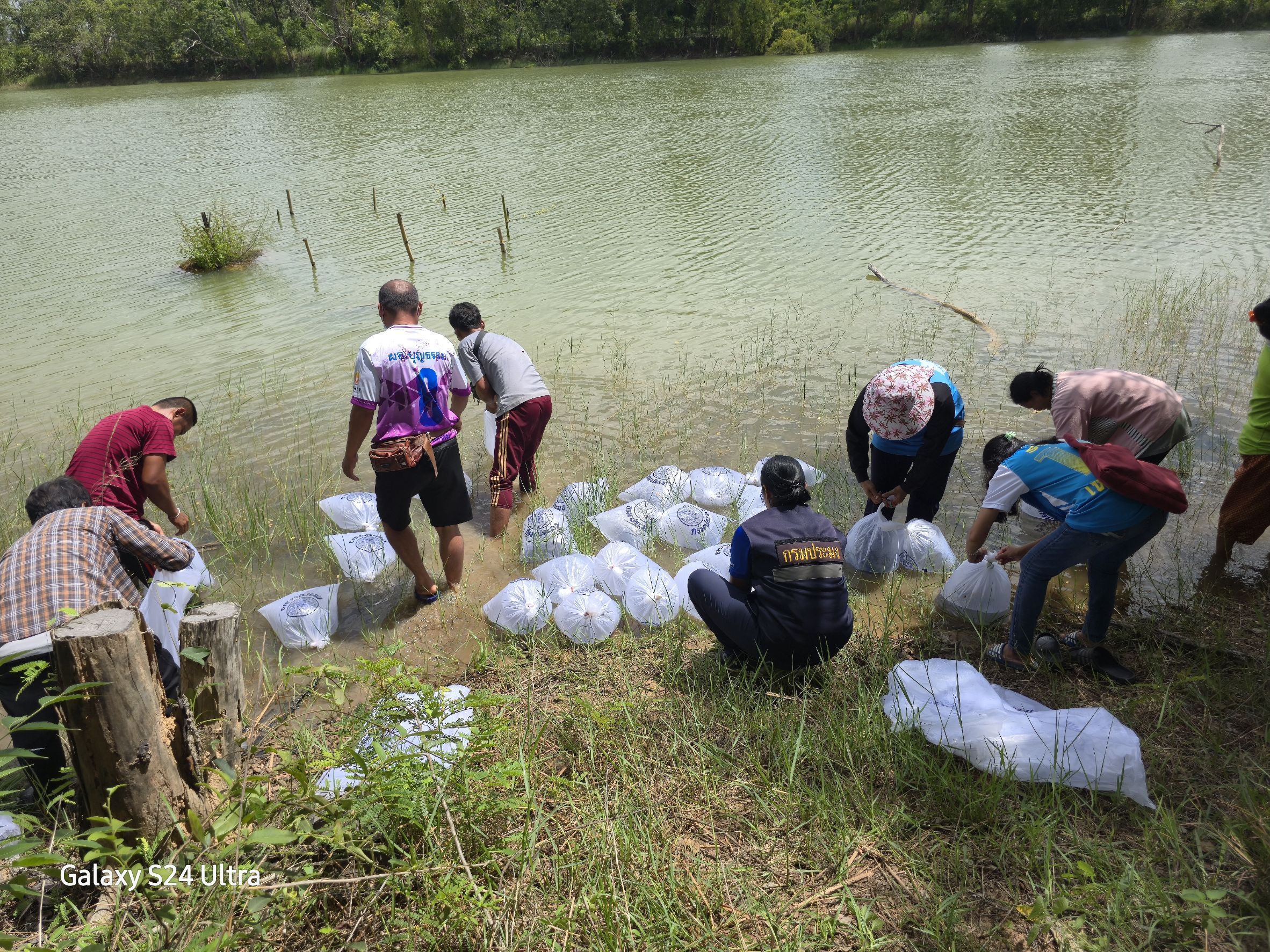 ประมงอำเภอวารินชำราบ ดำเนินการตามแผนงานโครงการบริหารจัดการทรัพยากรประมง เพิ่มผลผลิตในแหล่งน้ำชุมชนเพื่อสร้างรายได้ ประจำปีงบประมาณ 2568?