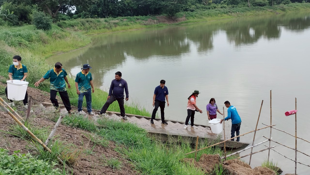 ร่วมปล่อยพันธุ์สัตว์น้ำเศรษฐกิจ พันธุ์กุ้งก้ามกราม ณ หนองลาดเค้า หนองจิก ในพื้นที่อำเภอแสวงหา และหนองตาเมฆ ในพื้นที่อำเภอโพธิ์ทอง จังหวัดอ่างทอง..คลิก