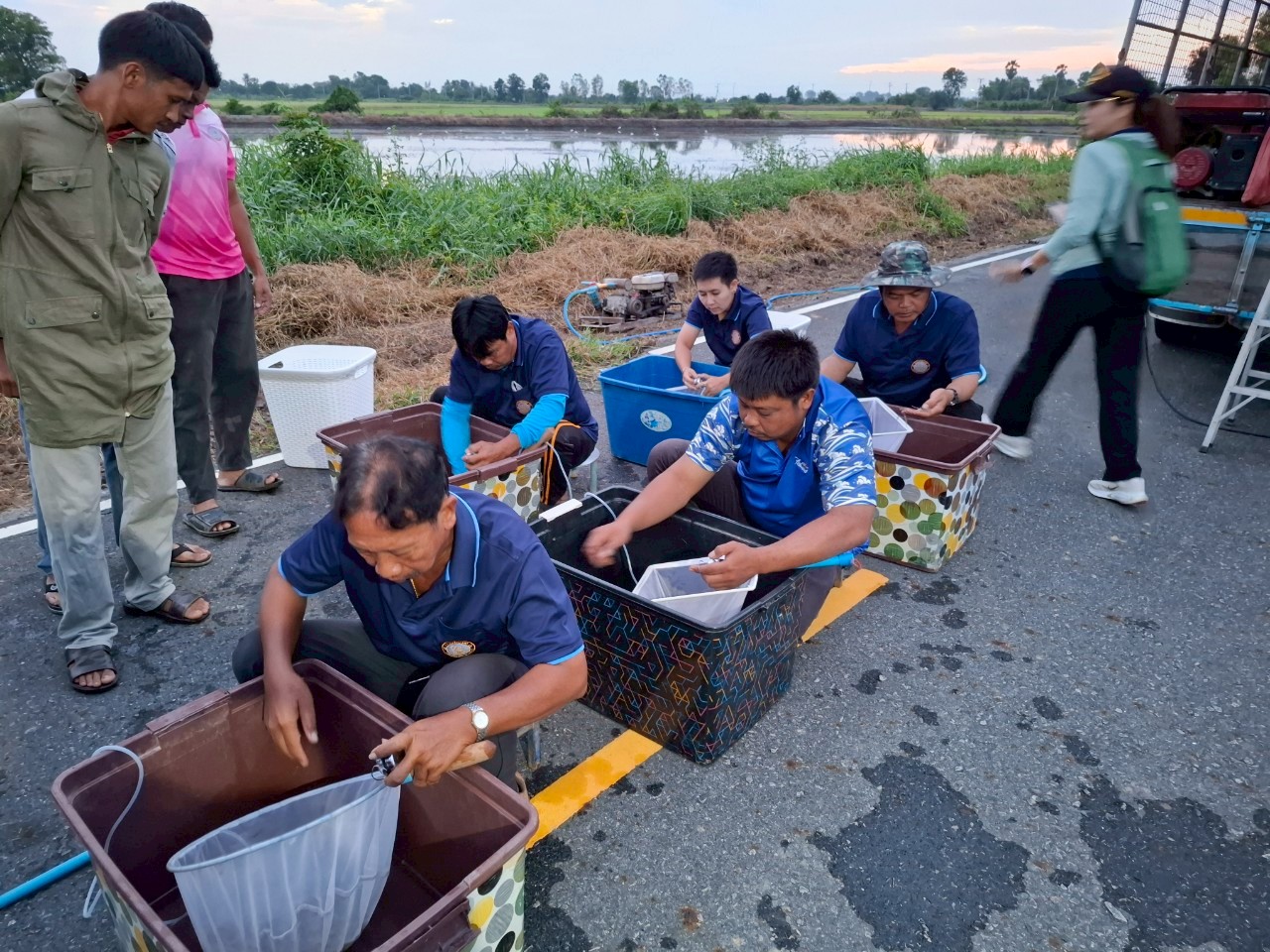 ร่วมปล่อยพันธุ์สัตว์น้ำเศรษฐกิจ พันธุ์กุ้งก้ามกราม ณ หนองวังนาค ในพื้นที่อำเภอแสวงหา บึงคลองแพและบึงบ้านเชียง ในพื้นที่อำเภอสามโก้ จังหวัดอ่างทอง