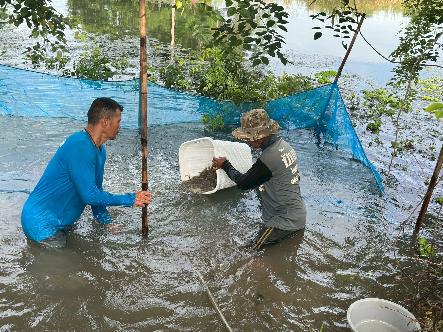 ร่วมปล่อยพันธุ์สัตว์น้ำเศรษฐกิจ พันธุ์กุ้งก้ามกราม ณ หนองวังนาค ในพื้นที่อำเภอแสวงหา บึงคลองแพและบึงบ้านเชียง ในพื้นที่อำเภอสามโก้ จังหวัดอ่างทอง