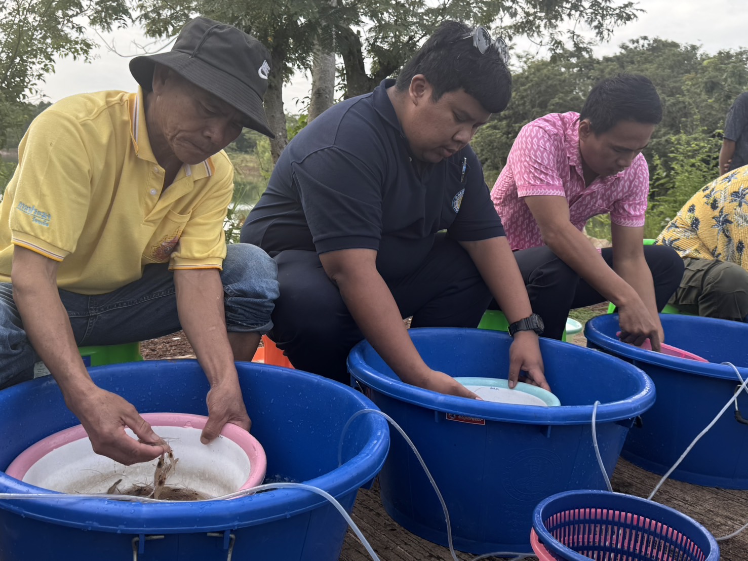 ร่วมปล่อยพันธุ์สัตว์น้ำ(กุ้งก้ามกราม) ในโครงการบริหารจัดการทรัพยากรประมงกิจกรรมบริหารจัดการทรัพยากรประมงน้ำจืดการเพิ่มผลผลิตสัตว์น้ำในแหล่งน้ำชุมชน เพื่อเพิ่มรายได้และลดค่าครองชีพของประชาชนประจำปีงบประมาณ 2568 ซึ่งประกอบด้วยแหล่งน้ำในพื้นที่ของจังหวัดร้อยเอ็ด อำเภอเมยวดี จำนวน 3 แหล่งน้ำ..คลิก