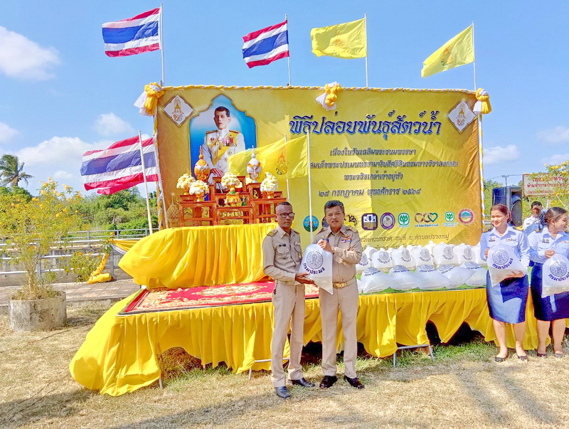 ร่วมปล่อยพันธุ์ปลากินพืช ลงสู่คลองภู่ อ.เมือง จ.พัทลุง..คลิก