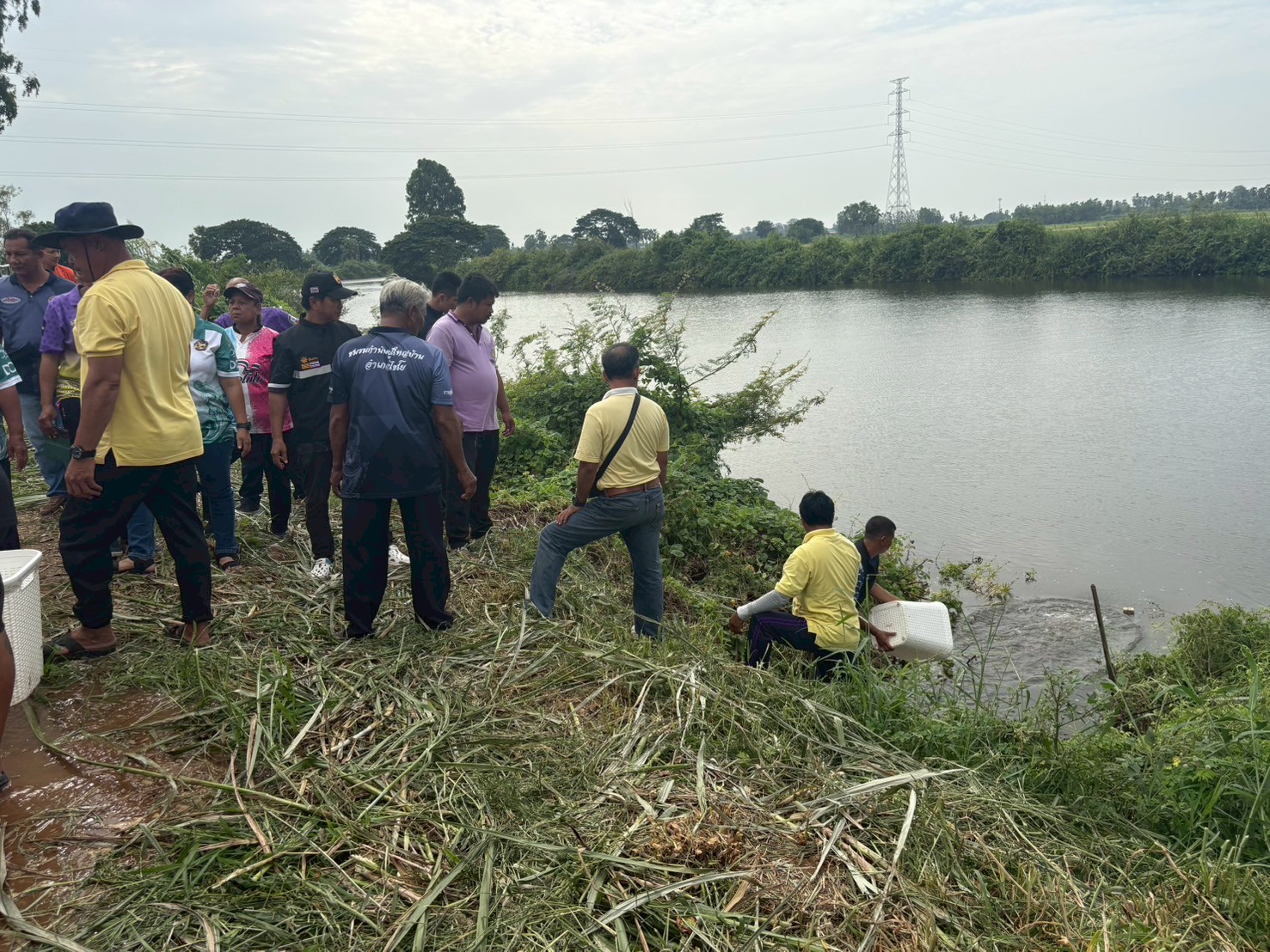 ร่วมปล่อยพันธุ์สัตว์น้ำเศรษฐกิจ พันธุ์กุ้งก้ามกราม ณ หนองอีล้ำ หนองหลวง ในพื้นที่อำเภอโพธิ์ทอง หนองขันเหลา และหนองสามง่ามน้อย ในพื้นที่อำเภอไชโย จังหวัดอ่างทอง