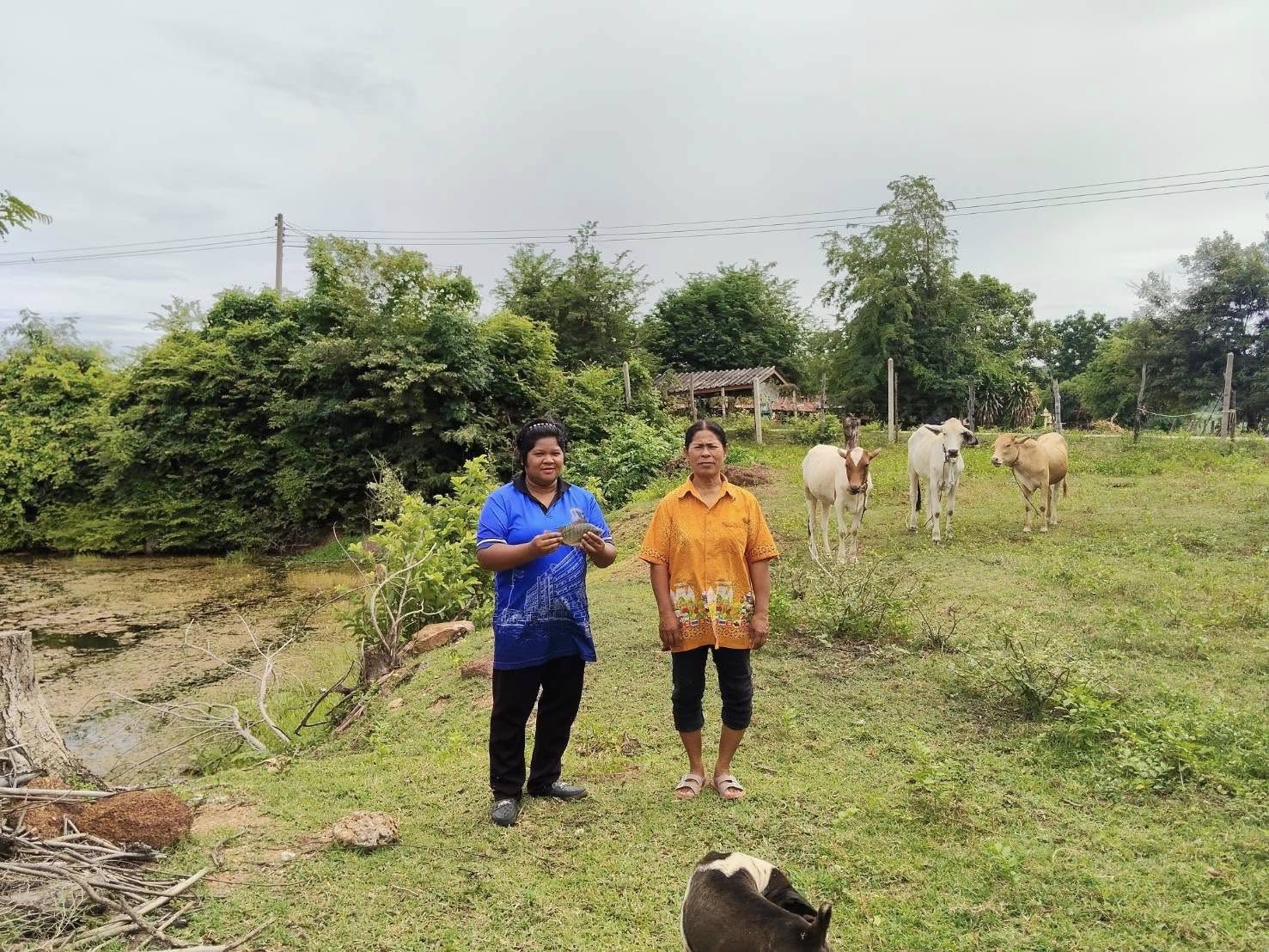 ติดตามและประเมินผลผลิตสัตว์น้ำหลังได้รับการสนับสนุนปัจจัยภายใต้โครงการศูนย์เรียนรู้การเพิ่มประสิทธิภาพการผลิตสินค้าเกษตร ประจำปี 2568..คลิก