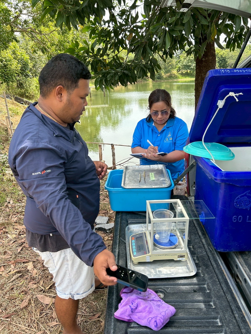 สำรวจการระบาดของปลาหมอคางดำ ในพื้นที่จังหวัดพัทลุง และจังหวัดสงขลา