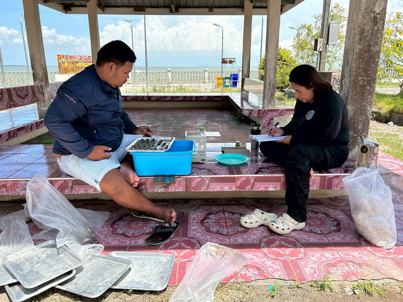 สำรวจการระบาดของปลาหมอคางดำ ในพื้นที่จังหวัดพัทลุง และจังหวัดสงขลา