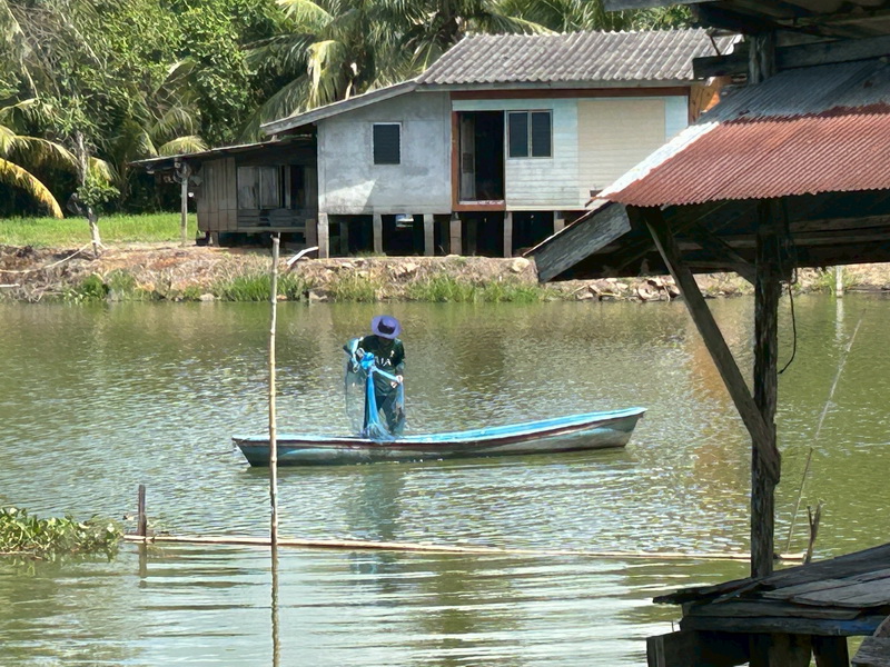 สำรวจการระบาดของปลาหมอคางดำ ในพื้นที่จังหวัดพัทลุง และจังหวัดสงขลา