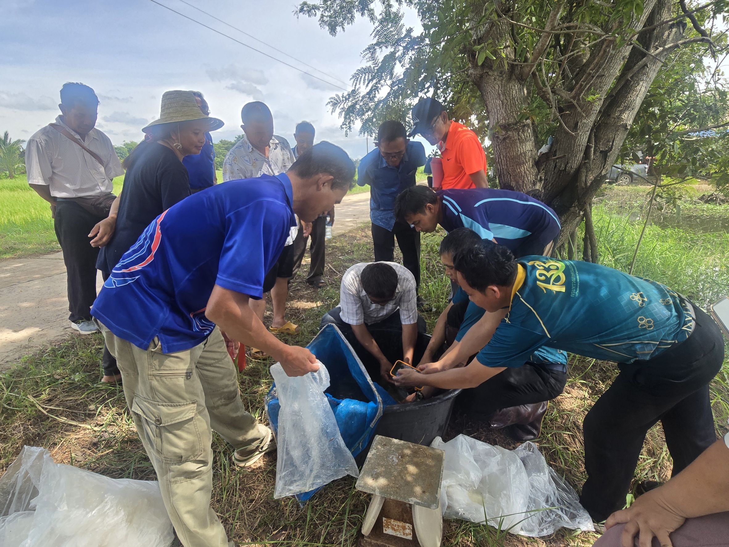 ประมงอุบลฯ ร่วมกิจกรรมเพาะฟักปลาตะเพียนขาวกับองค์กรชุมชนประมงท้องถิ่น อำเภอวารินชำราบ..คลิก