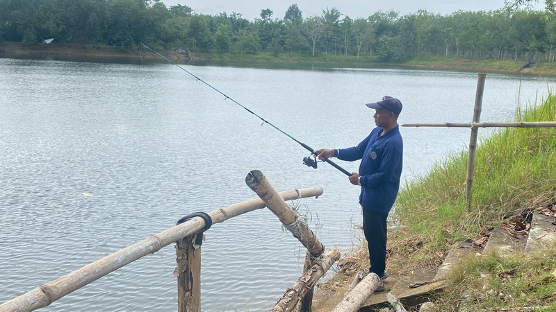 ร่วมปฏิบัติการตามล่าปลาหมอคางดำ ในพื้นที่อำเภอป่าพะยอม จังหวัดพัทลุง..คลิก