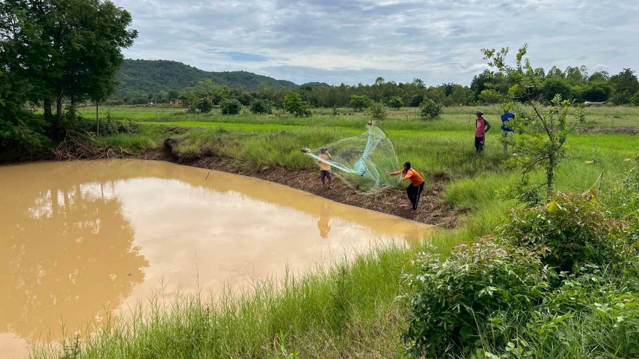 ลงพื้นที่ติดตามผลการดำเนินงานโครงการศูนย์เรียนรู้การเพิ่มประสิทธิภาพการผลิตสินค้าเกษตร..คลิก