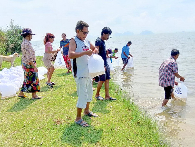 ร่วมปล่อยพันธุ์ปลากินพืช ลงสู่ทะเลสาบสงขลา อ.บางแก้ว จ.พัทลุง