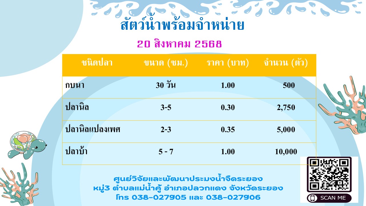 สัตว์น้ำพร้อมจำหน่าย วันที่ 20 สิงหาคม 2568