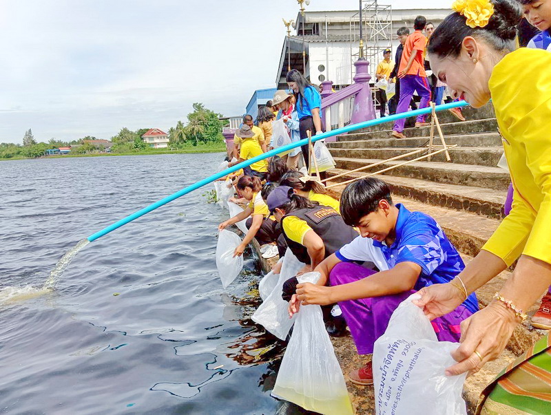 ร่วมปล่อยพันธุ์กุ้งก้ามกราม พื้นที่อำเภอเชียรใหญ่ จังหวัดนครศรีธรรมราช..คลิก