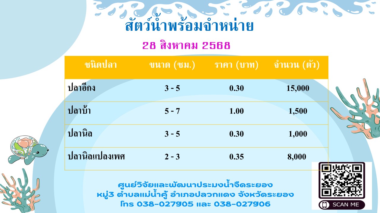 สัตว์น้ำพร้อมจำหน่าย วันที่ 28 สิงหาคม 2568
