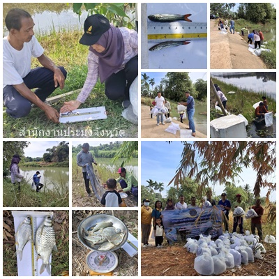 ผลการปฏิบัติงานประจำวันพุธ 27 สิงหาคม 2568..คลิก