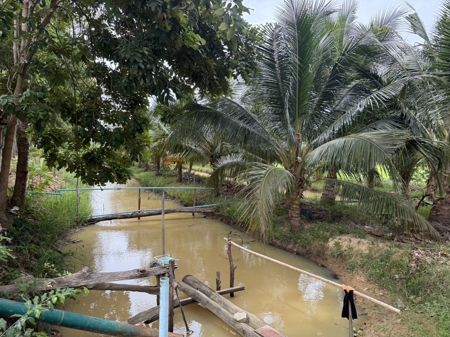 ลงพื้นที่ติดตาม ศพก.เครือข่ายด้านการประมง ที่ได้รับการพัฒนาและยกระดับ ประจำปีงบประมาณ 2568 