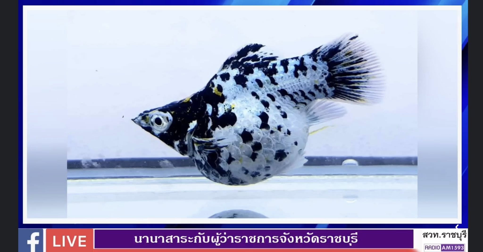 ร่วมออกรายการนานาสาระกับผู้ว่าราชการจังหวัดราชบุรี