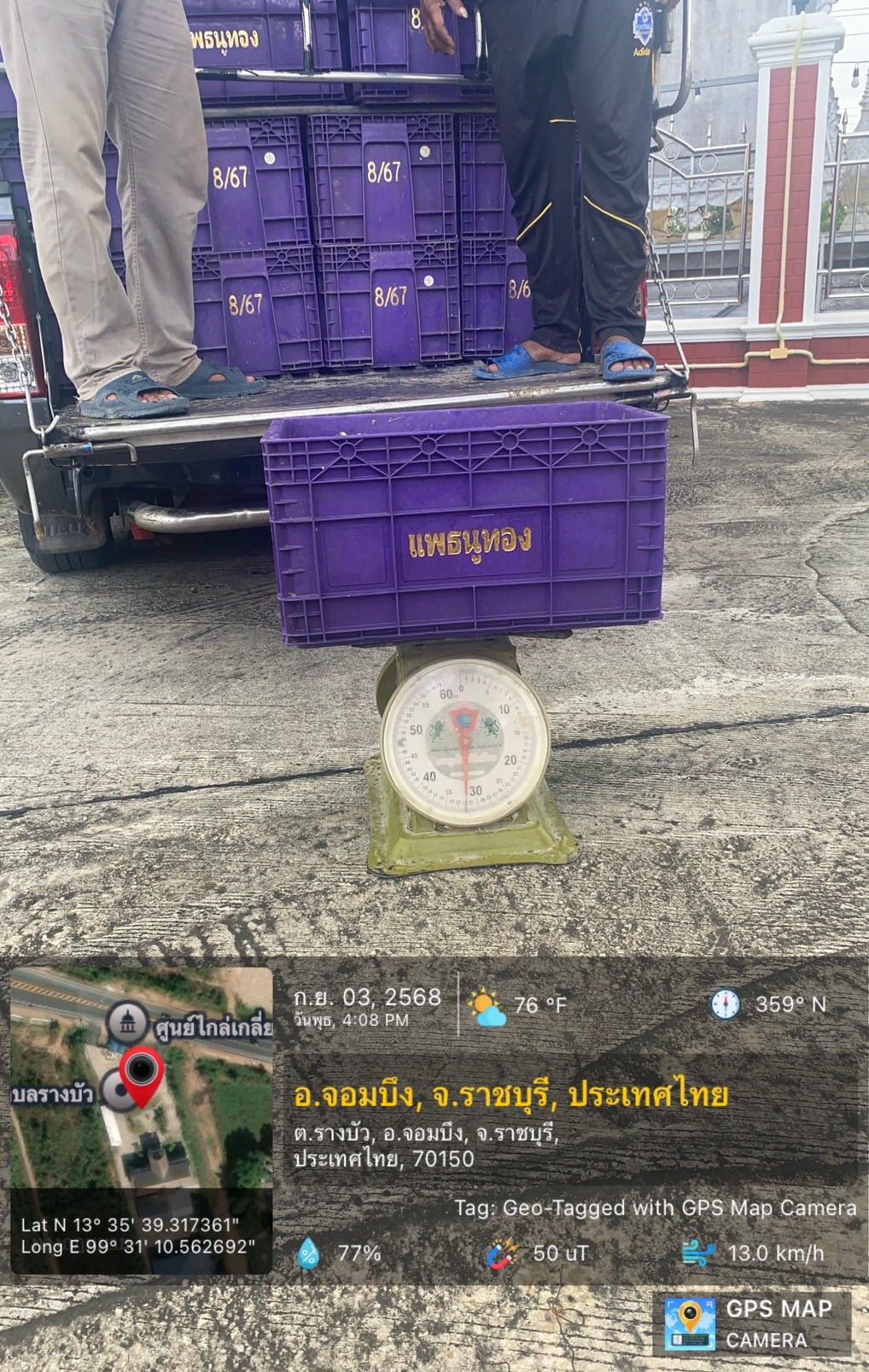 ตรวจสอบรับรองความถูกต้องของปริมาณปลาหมอคางดำ