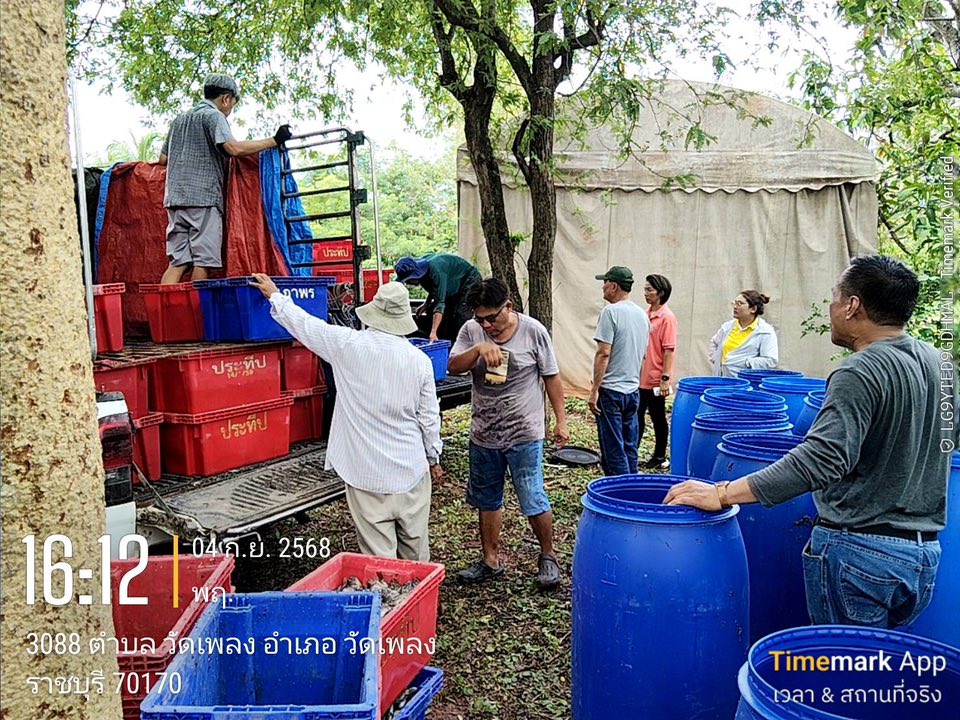 ลงพื้นที่ตรวจความถูกต้องและลงนามรับรองความถูกต้อง ของแบบฟอร์มสรุปปริมาณปลาหมอคางดำ..คลิก