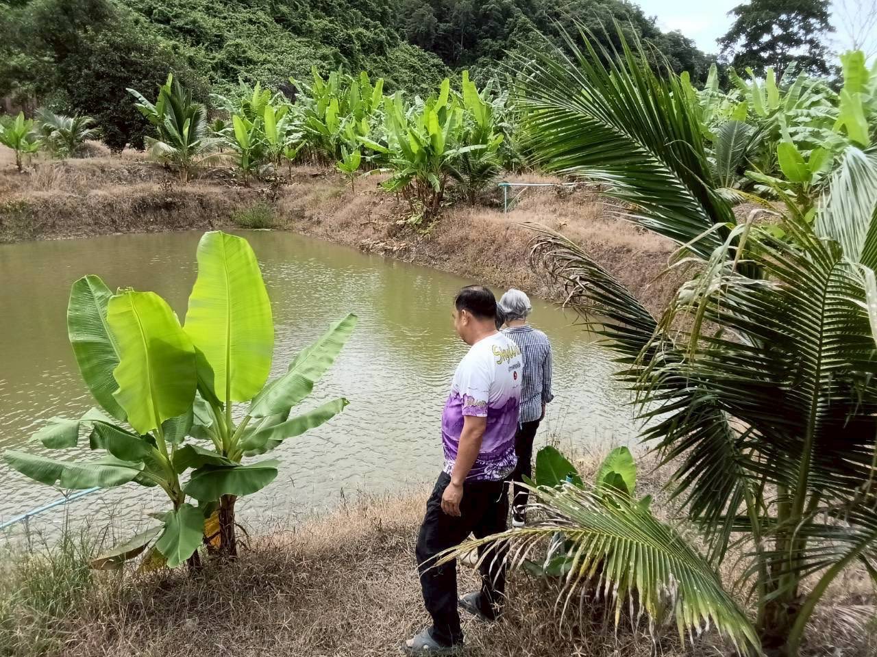 ลงพื้นที่ติดตามผลการดำเนินงานโครงการศูนย์เรียนรู้การเพิ่มประสิทธิภาพการผลิตสินค้าเกษตร