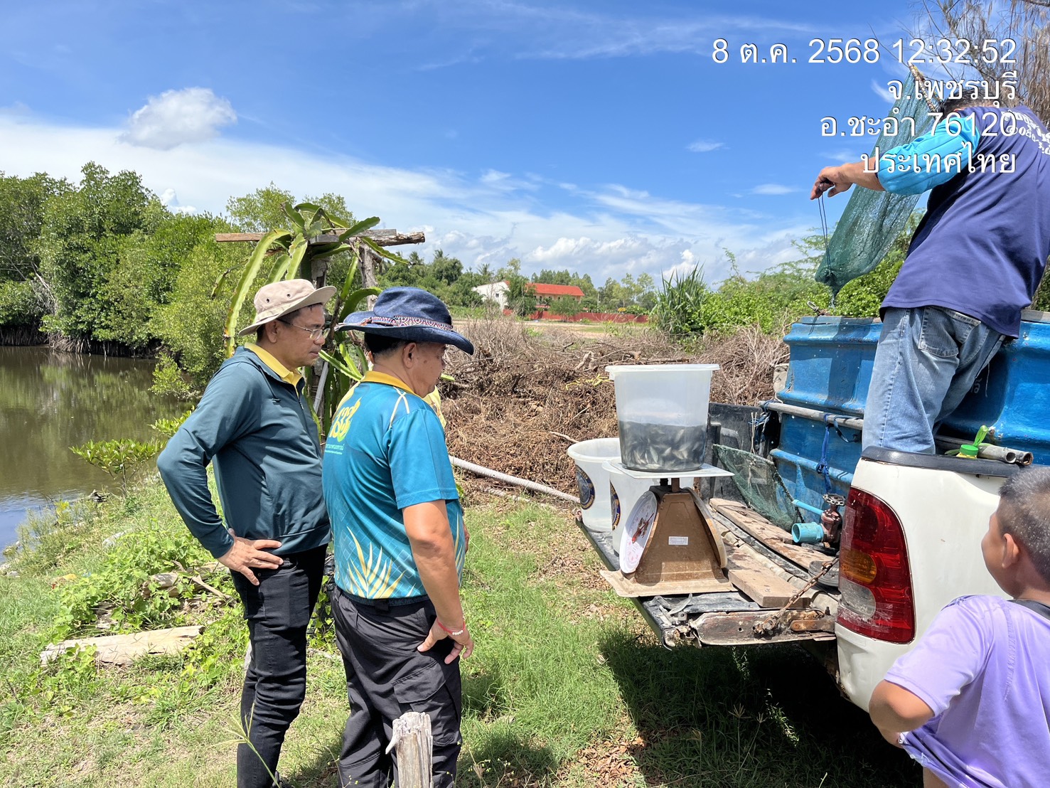 การแก้ไขปัญหาการแพร่ระบาดของปลาหมอคางดำ โดยการปล่อยปลาผู้ล่า (ปลากะพง) ในแหล่งน้ำธรรมชาติที่พบการแพร่ระบาดของปลาหมอคางดำ